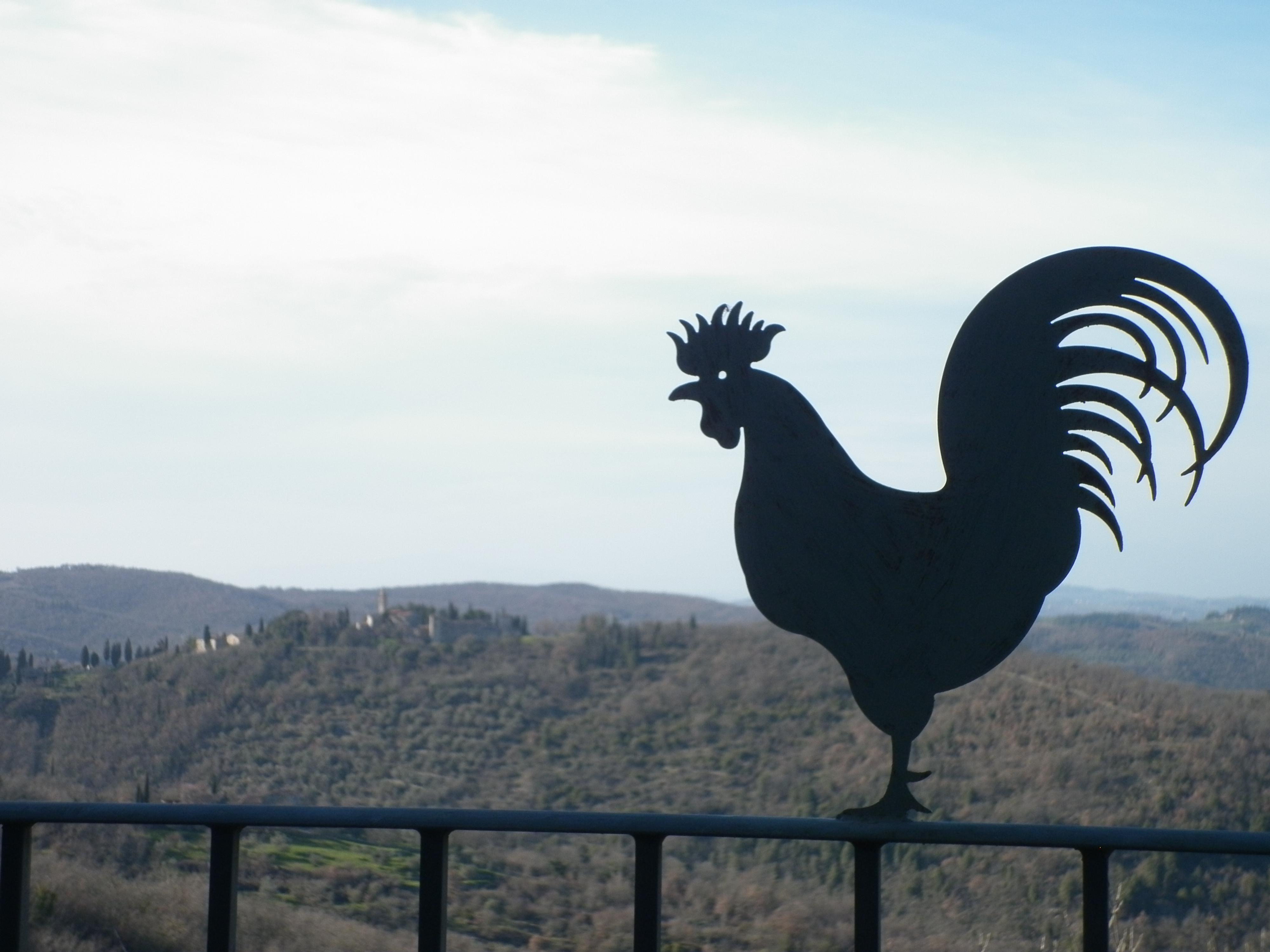 Villa Sant'Uberto Country Inn Radda in Chianti Luaran gambar