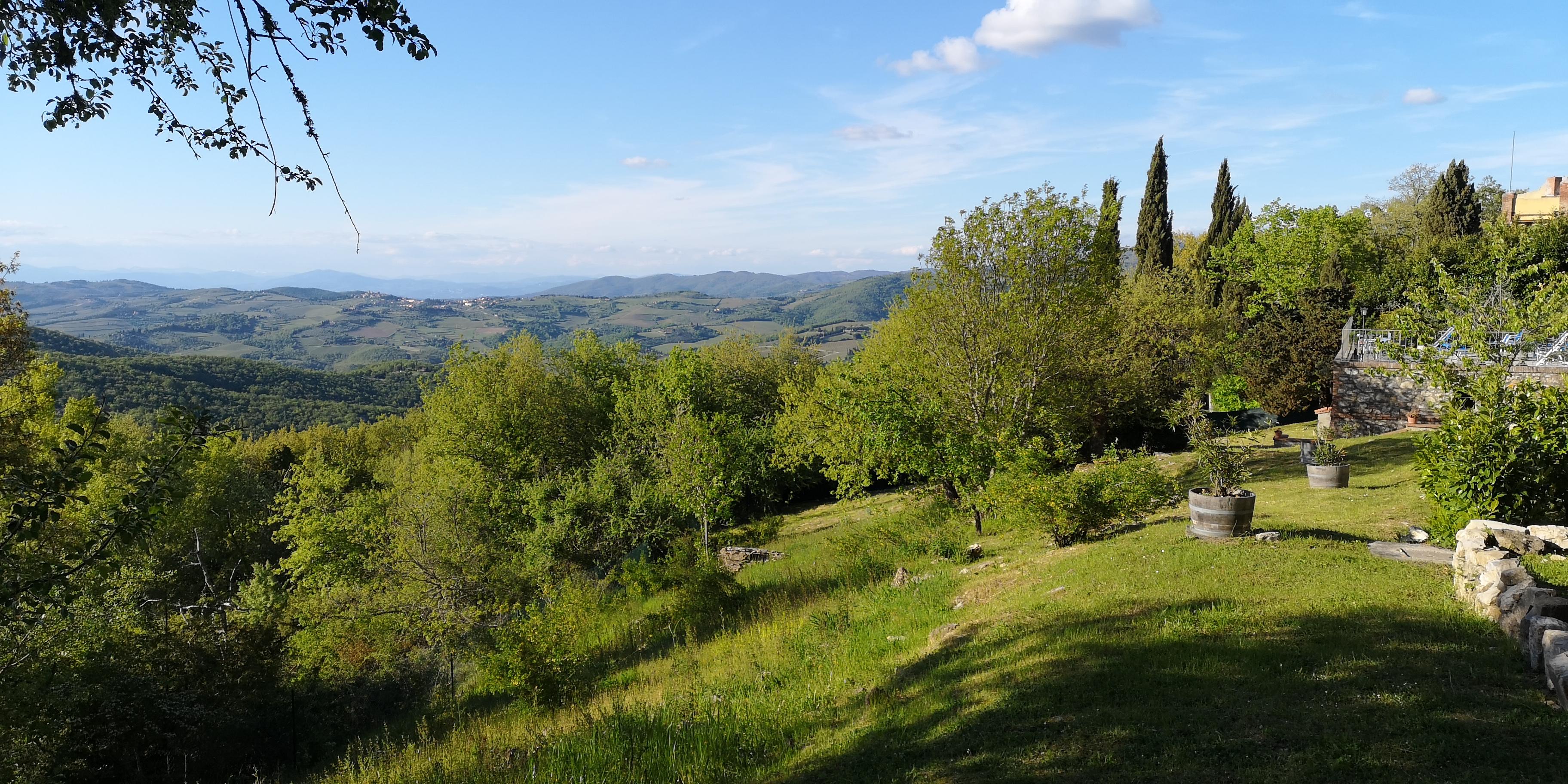 Villa Sant'Uberto Country Inn Radda in Chianti Luaran gambar